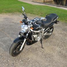 Yamaha FZ6-N