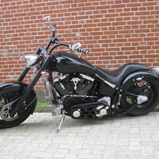 Harley Davidson custom
