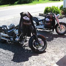 Harley Davidson custom