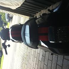 Harley Davidson VRSC Night Rod Special