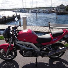 Suzuki SV1000 N (SOLGT)