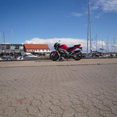 Suzuki SV1000 N (SOLGT)