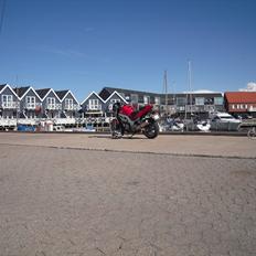 Suzuki SV1000 N (SOLGT)