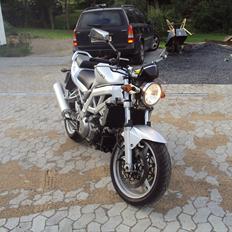 Suzuki SV1000