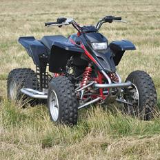 Yamaha YFS 200 Blaster ( Quad / Atv )