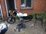 FYM 125 cc chopper