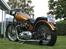 Triumph thunderbird
