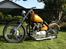Triumph thunderbird