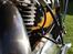 Triumph thunderbird