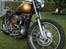 Triumph thunderbird