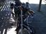 Lifan Chituma CTM 250-3