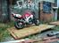 Honda cbr fireblade