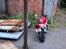 Honda cbr fireblade
