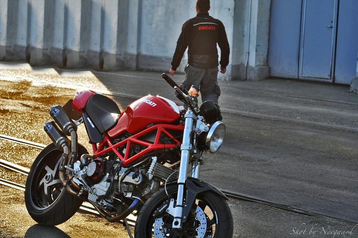 Ducati Monster S2R 1000 billede 2