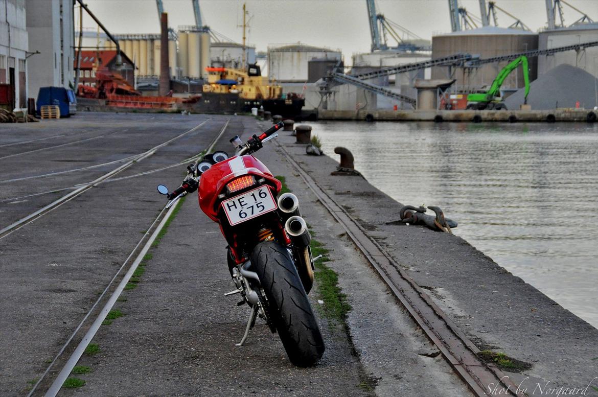Ducati Monster S2R 1000 billede 3