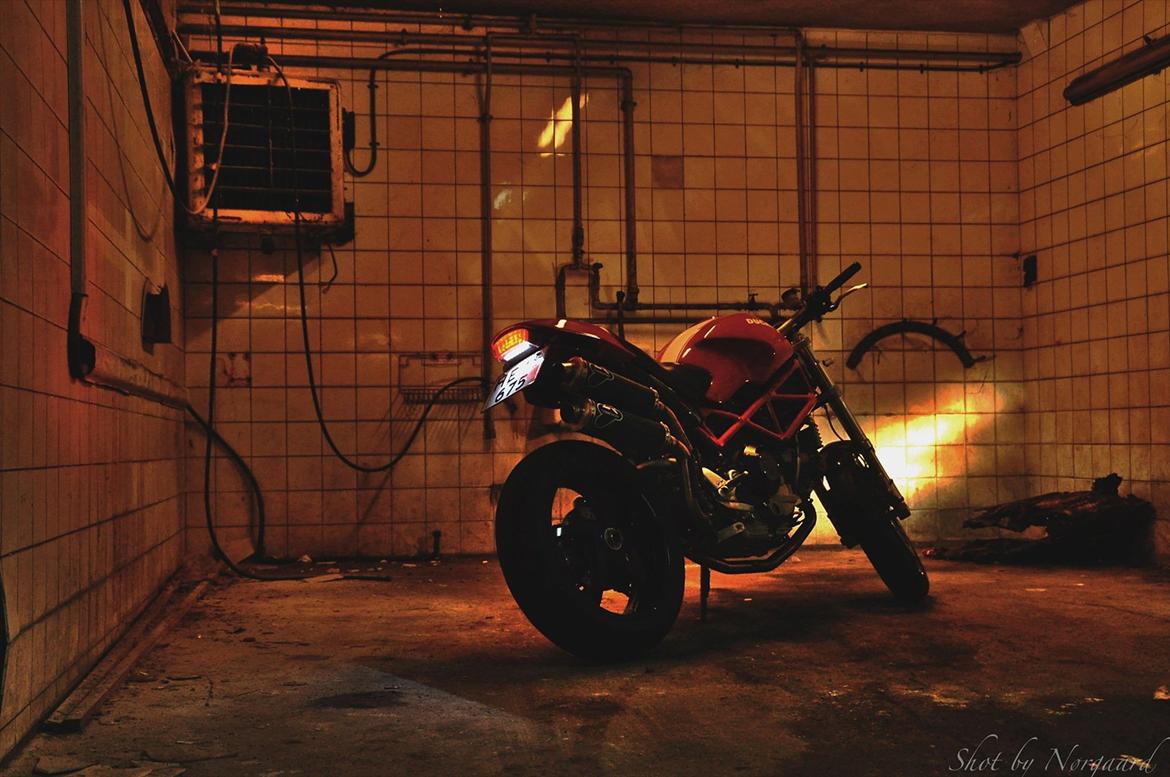 Ducati Monster S2R 1000 billede 5