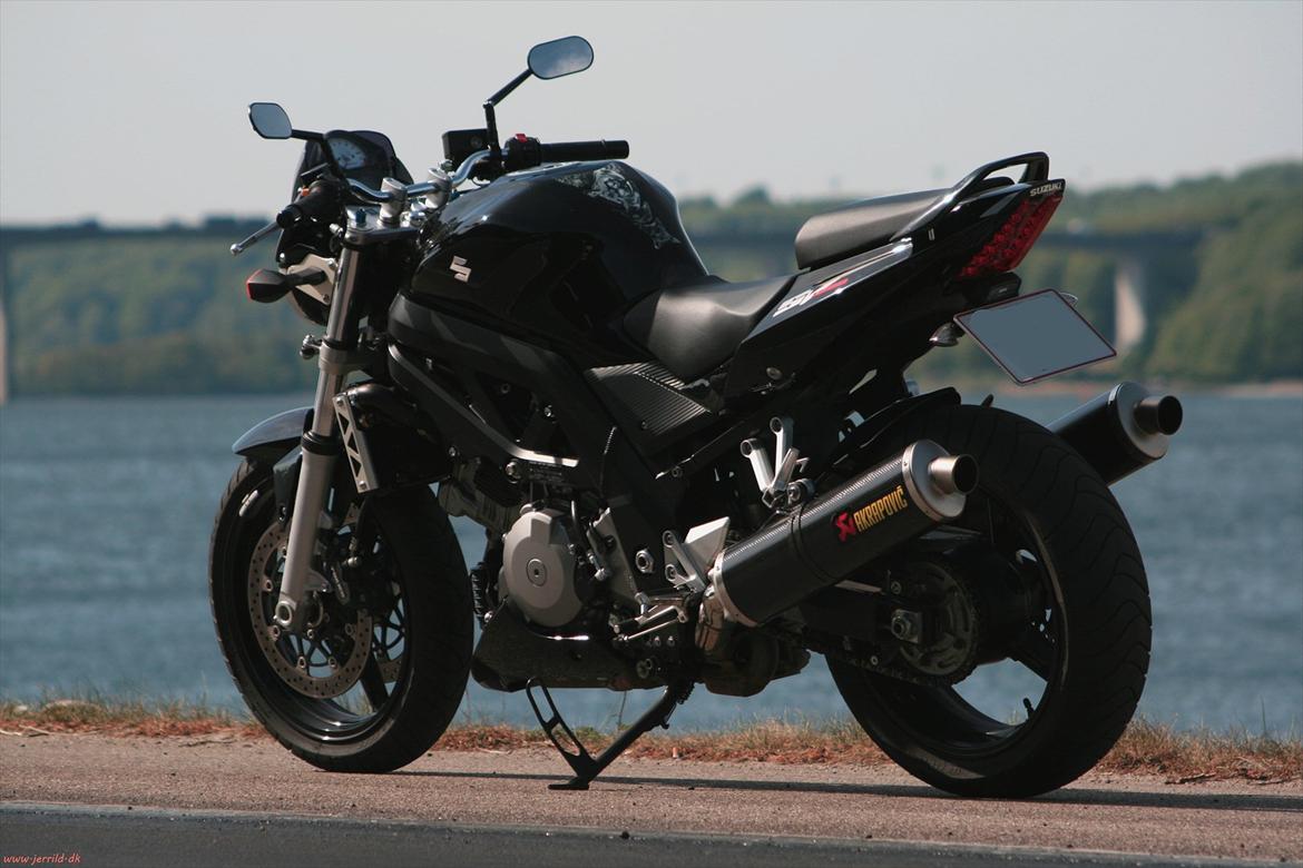 Suzuki SV1000 Naked billede 1
