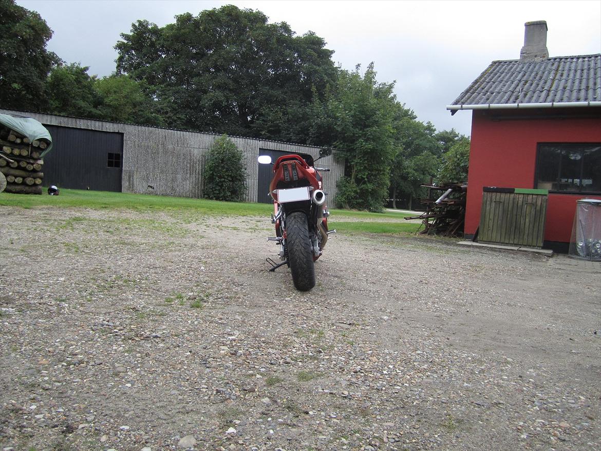 Suzuki SV650s billede 6