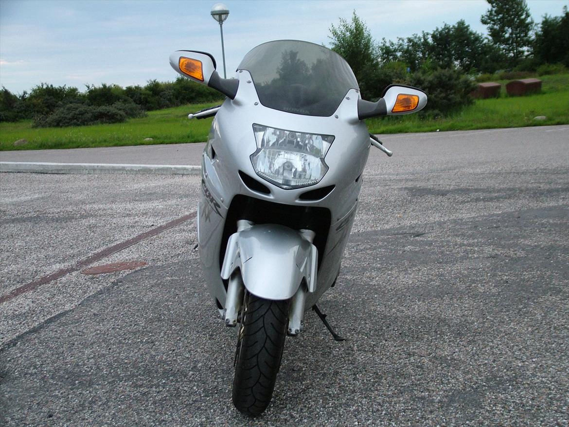 Honda CBR 1100 Black Bird billede 2