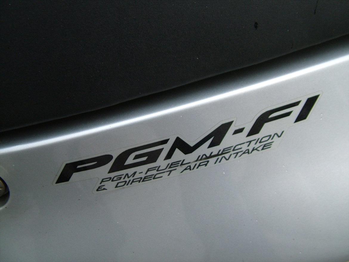 Honda CBR 1100 Black Bird billede 7