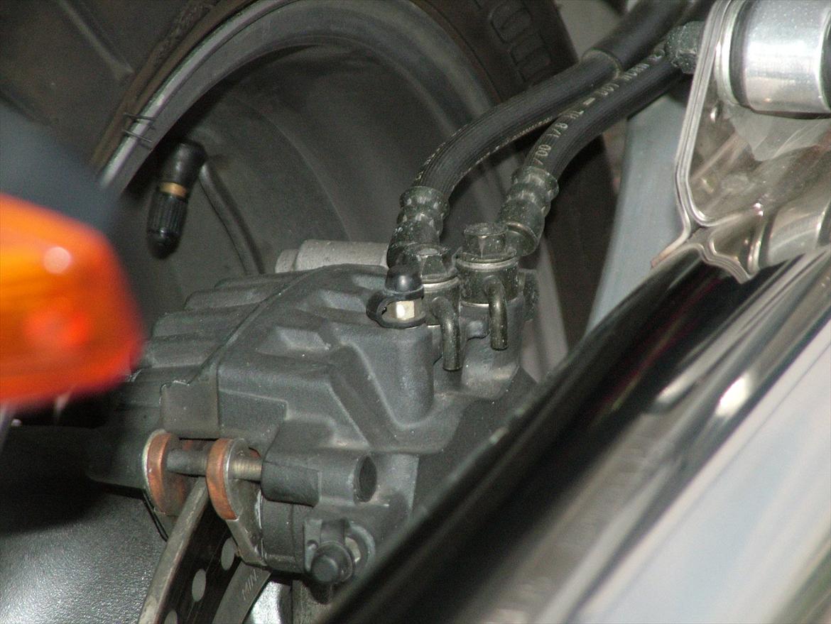 Honda CBR 1100 Black Bird billede 17