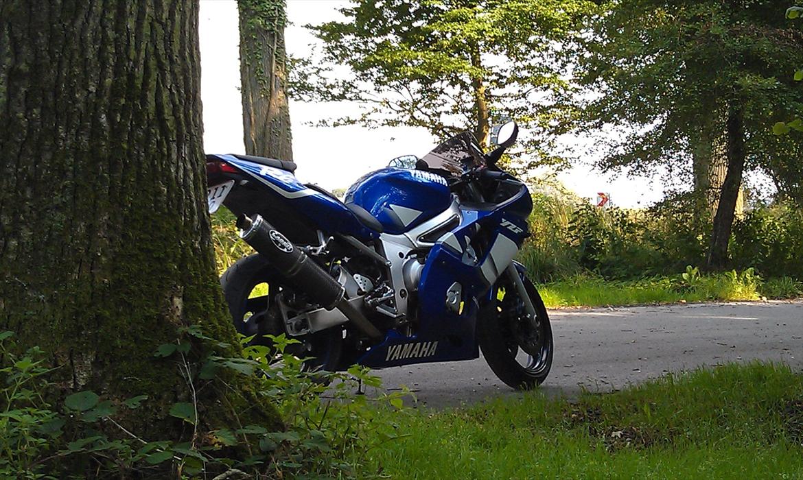 Yamaha YZF R6 billede 8