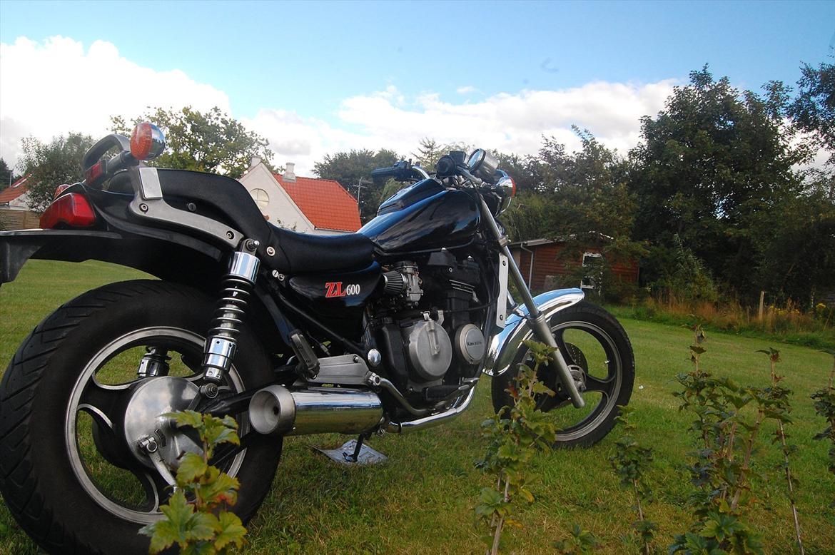 Kawasaki ZL600 (SOLGT)  billede 4