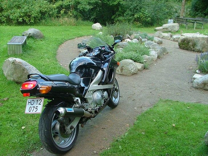 Kawasaki ZZR 600 billede 11