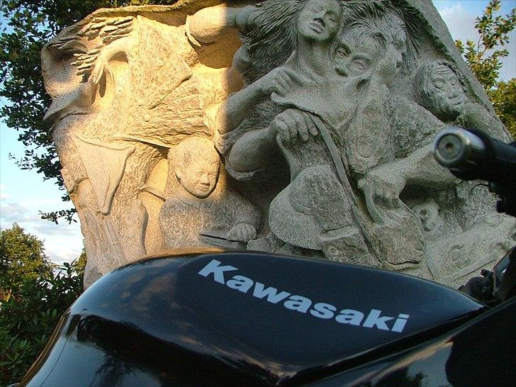 Kawasaki ZZR 600 billede 14