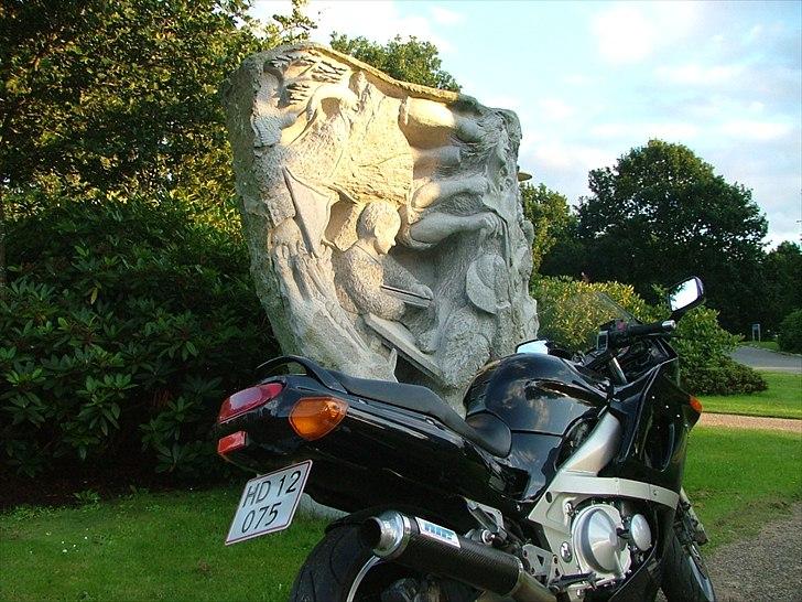 Kawasaki ZZR 600 billede 16