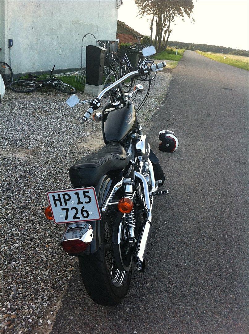 Harley Davidson XLH 883 Sportster billede 8