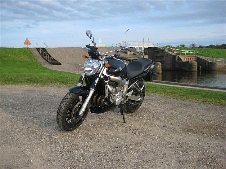 Yamaha FZ6-N billede 2