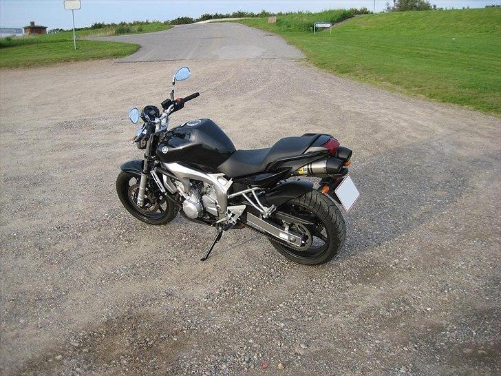 Yamaha FZ6-N billede 4