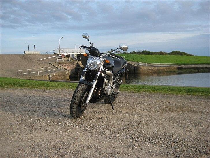 Yamaha FZ6-N billede 6