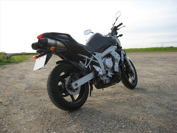 Yamaha FZ6-N billede 8