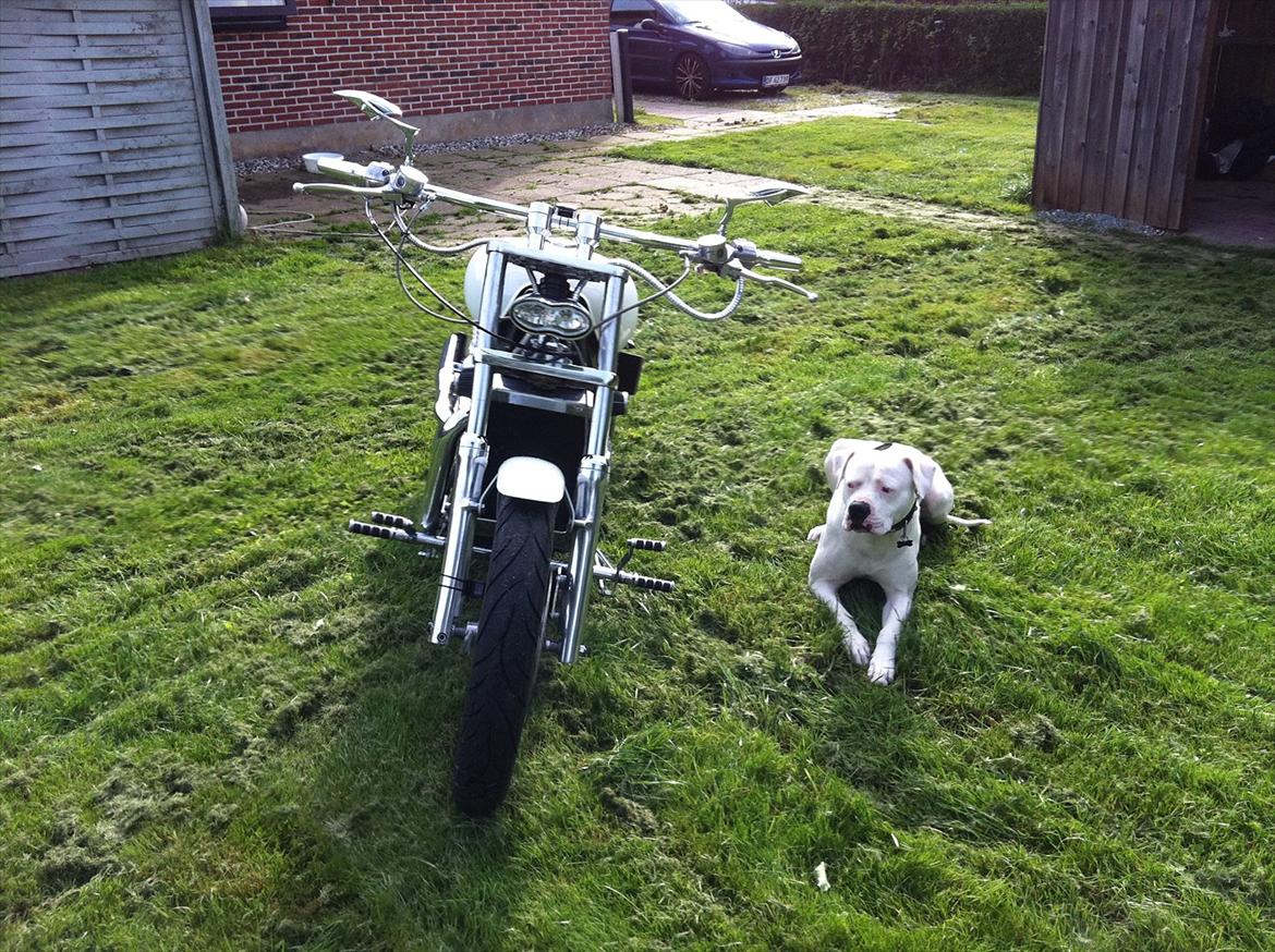 Kawasaki vn 1500 *SOLGT* billede 5