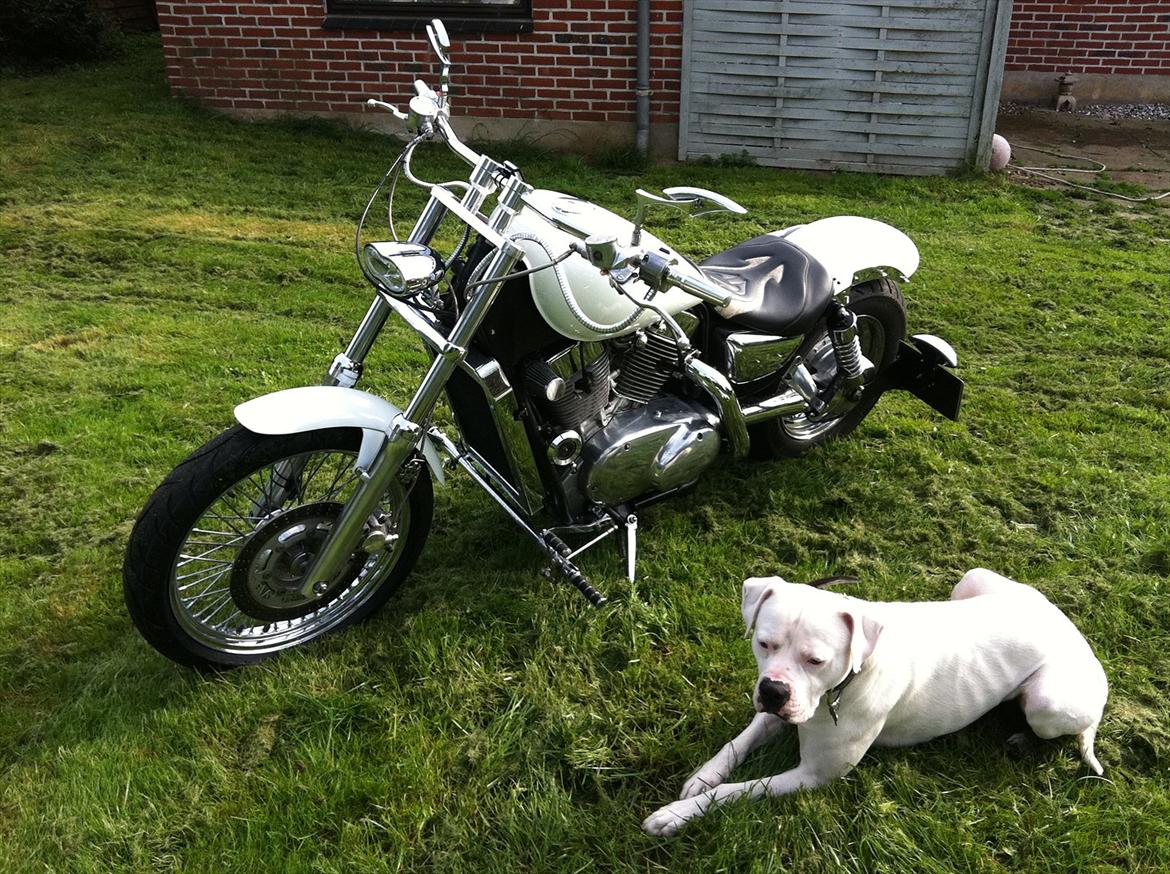 Kawasaki vn 1500 *SOLGT* billede 1