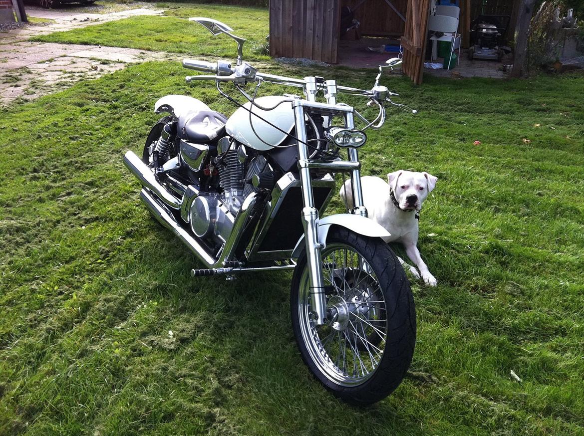 Kawasaki vn 1500 *SOLGT* billede 6