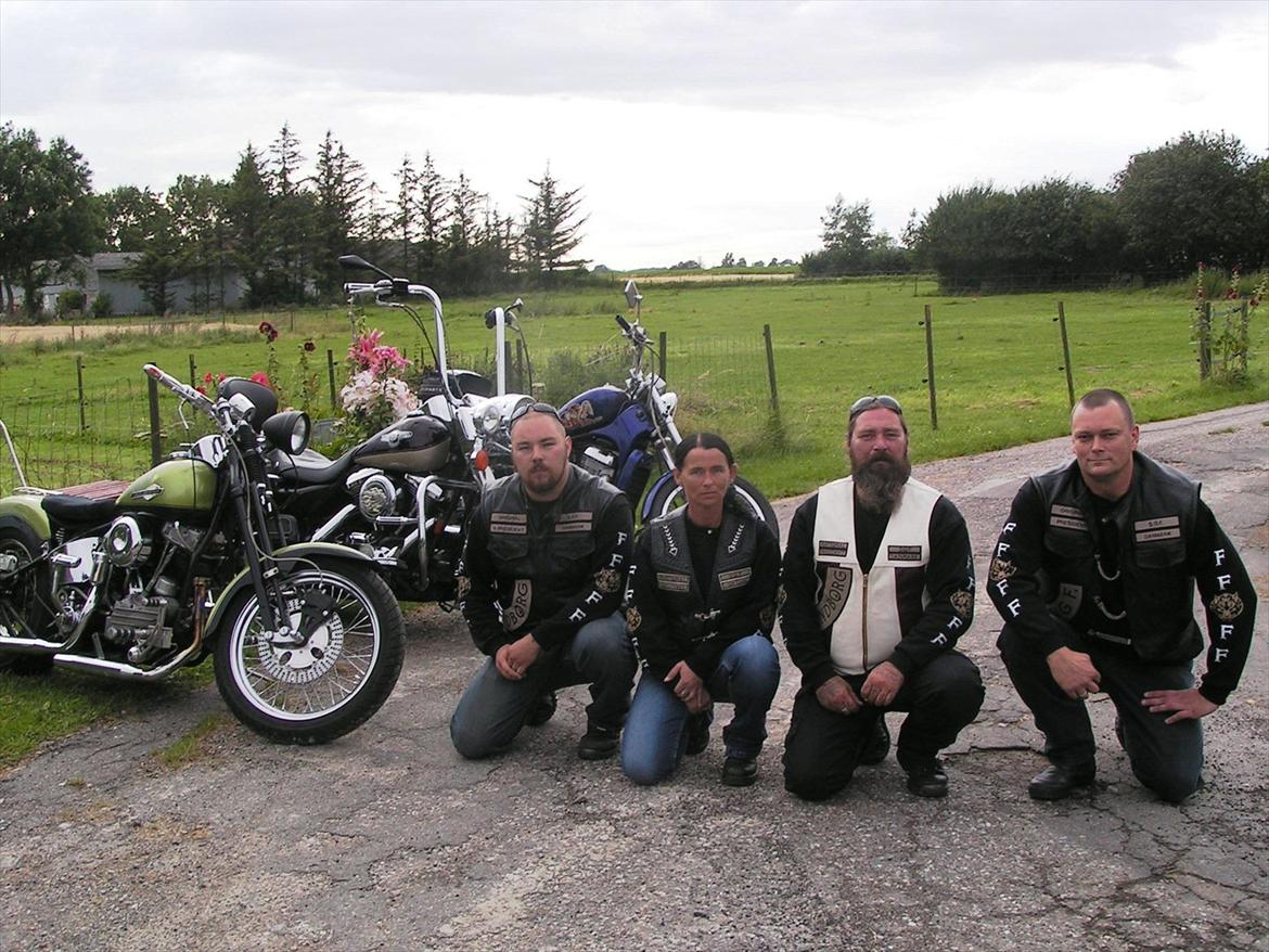 Harley Davidson FL Springer billede 9