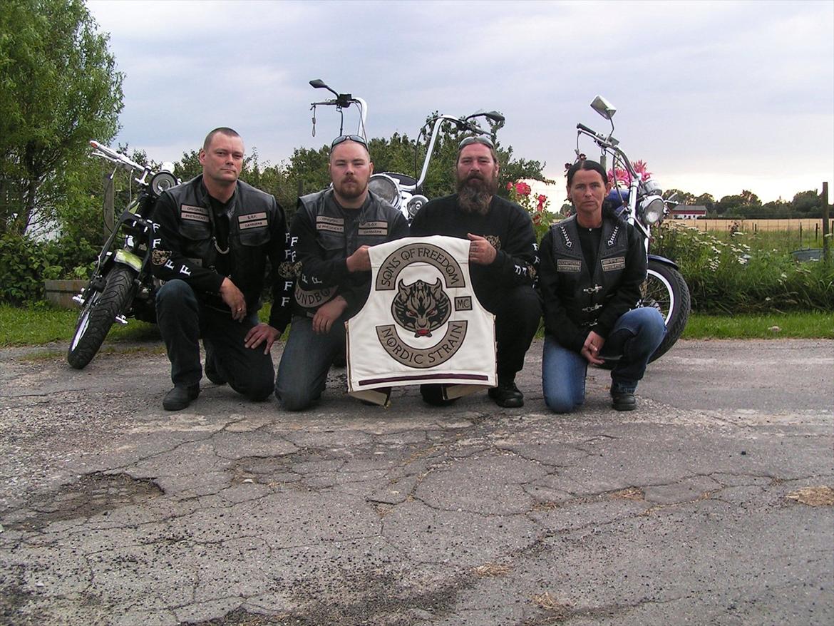 Harley Davidson FL Springer billede 3