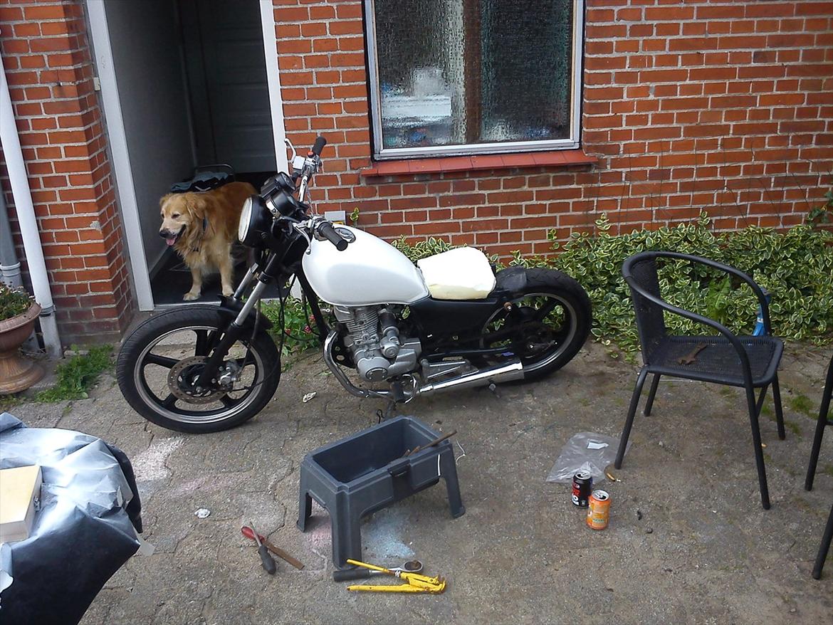 FYM 125 cc chopper billede 7