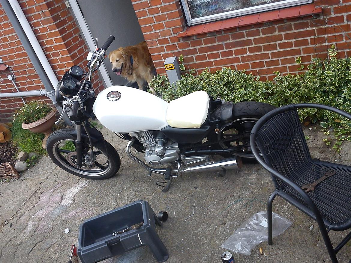 FYM 125 cc chopper billede 8