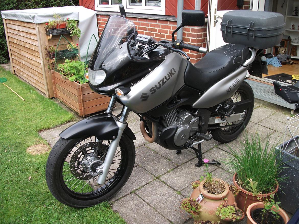 Suzuki XF 650 Freewind Billeder af mcer Uploaded af christian s