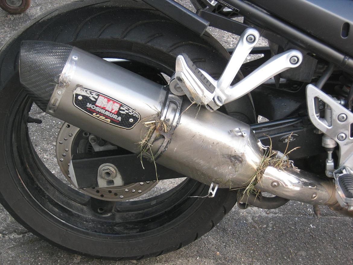 Suzuki GSF 650 Bandit ( Smadret ) - Udstødning, nu med asfalt eksem billede 12