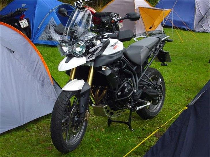 Triumph Tiger 800 - SOLGT - Brittany træf 2011 billede 12
