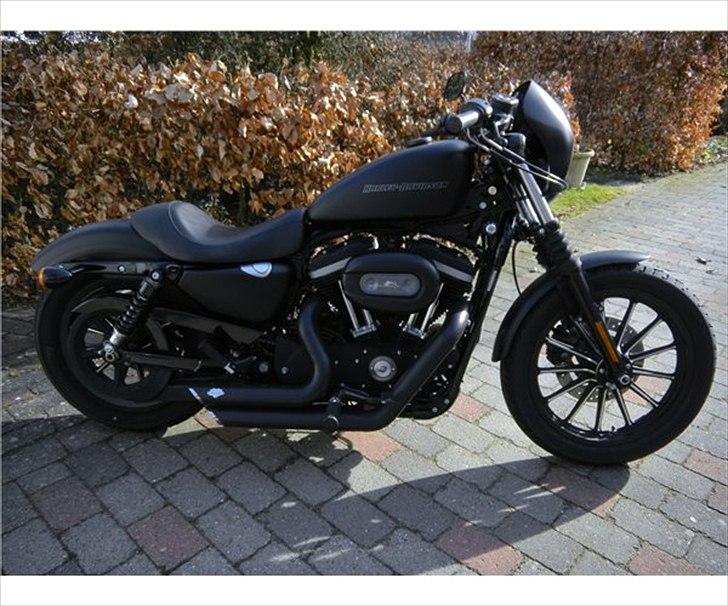 Harley Davidson Sportster XL883N Iron - Hos sælger billede 29