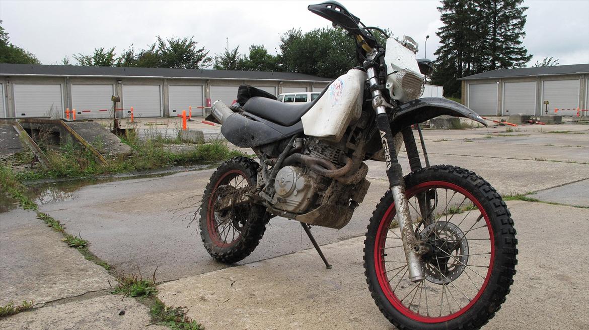 Honda XR650L billede 1