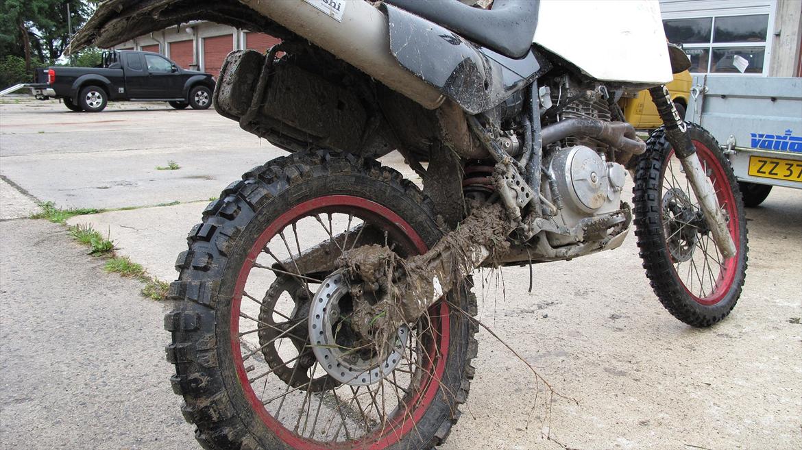 Honda XR650L billede 2