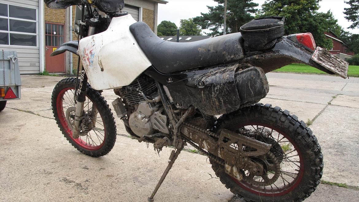 Honda XR650L billede 4