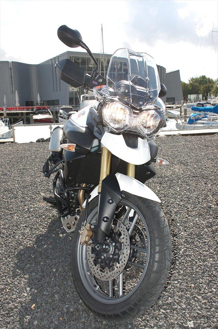 Triumph Tiger 800 - SOLGT billede 1